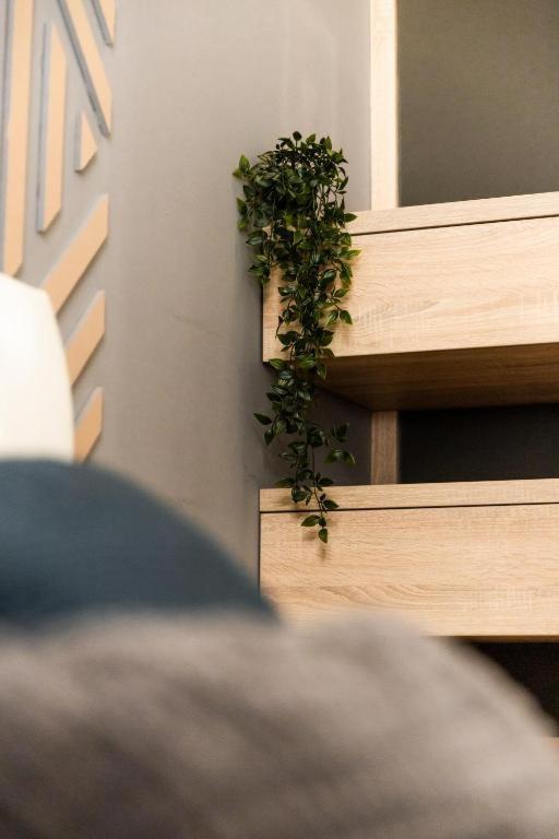 Deluxe Quentin Home Next To The Fashion Street ブダペスト エクステリア 写真